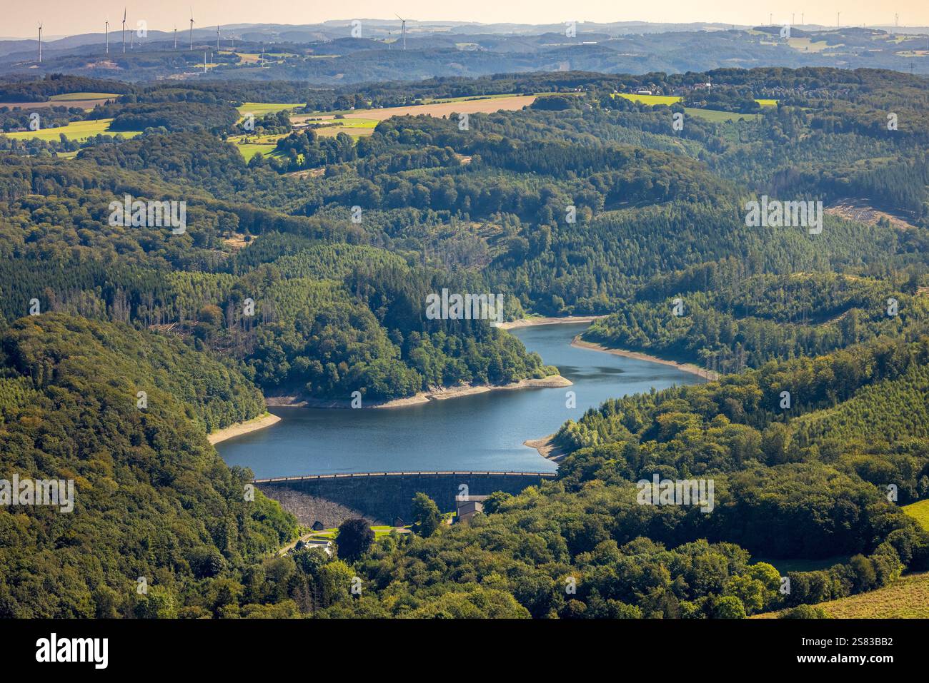 Vista aerea, diga di Hasper e parete della diga nella zona forestale, vista distante, Haspe, Hagen, zona della Ruhr, Renania settentrionale-Vestfalia, Germania Foto Stock