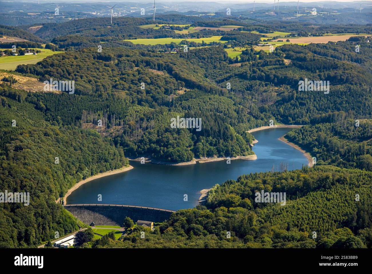 Vista aerea, diga di Hasper e parete della diga nella zona forestale, Sight, Haspe, Hagen, zona della Ruhr, Renania settentrionale-Vestfalia, Germania Foto Stock