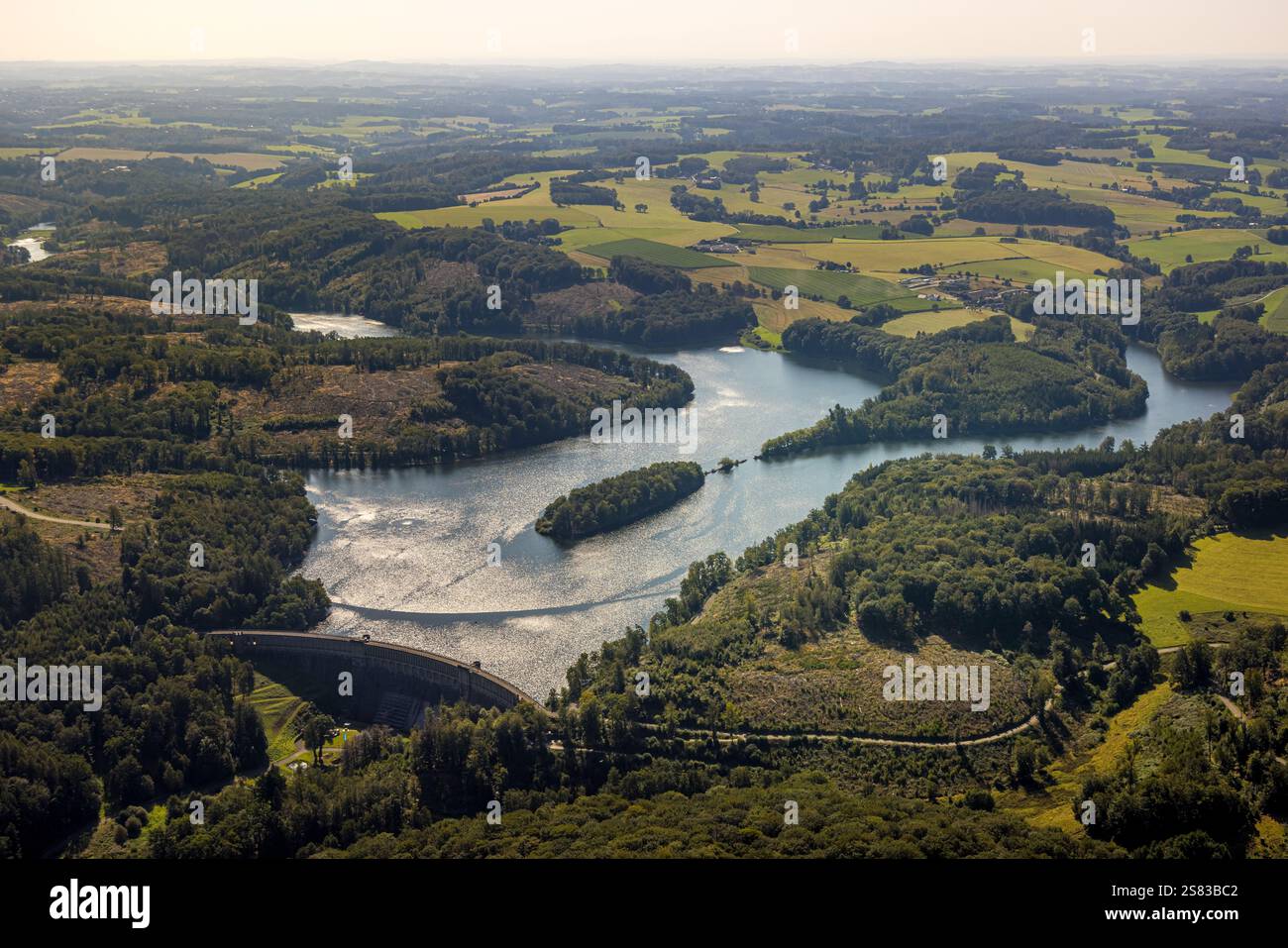 Vista aerea, Ennepetalsperre con pareti dighe e isola boscosa, paesaggio collinare con danni forestali, confine della città di Ennepetal, Boßel, Breckerfeld, Ruhr ar Foto Stock