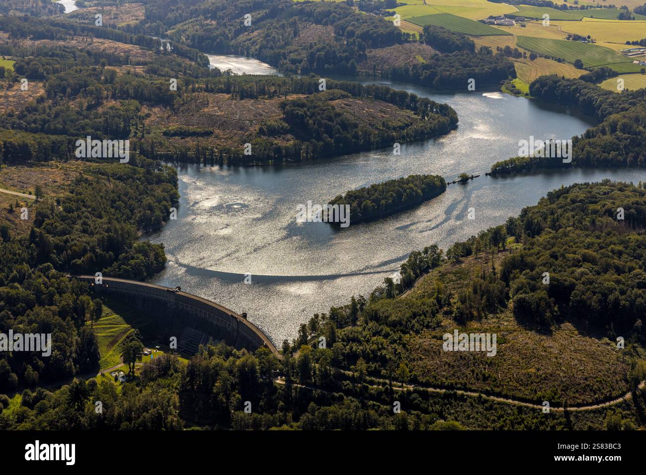 Vista aerea, Ennepetalsperre con pareti dighe e isola boscosa, paesaggio collinare con danni forestali, confine della città di Ennepetal, Boßel, Breckerfeld, Ruhr ar Foto Stock