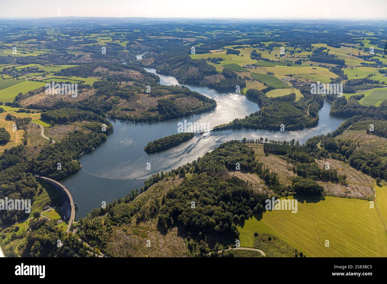 Vista aerea, Ennepetalsperre con pareti dighe e isola boscosa, paesaggio collinare con danni forestali, confine della città di Ennepetal, Boßel, Breckerfeld, Ruhr ar Foto Stock
