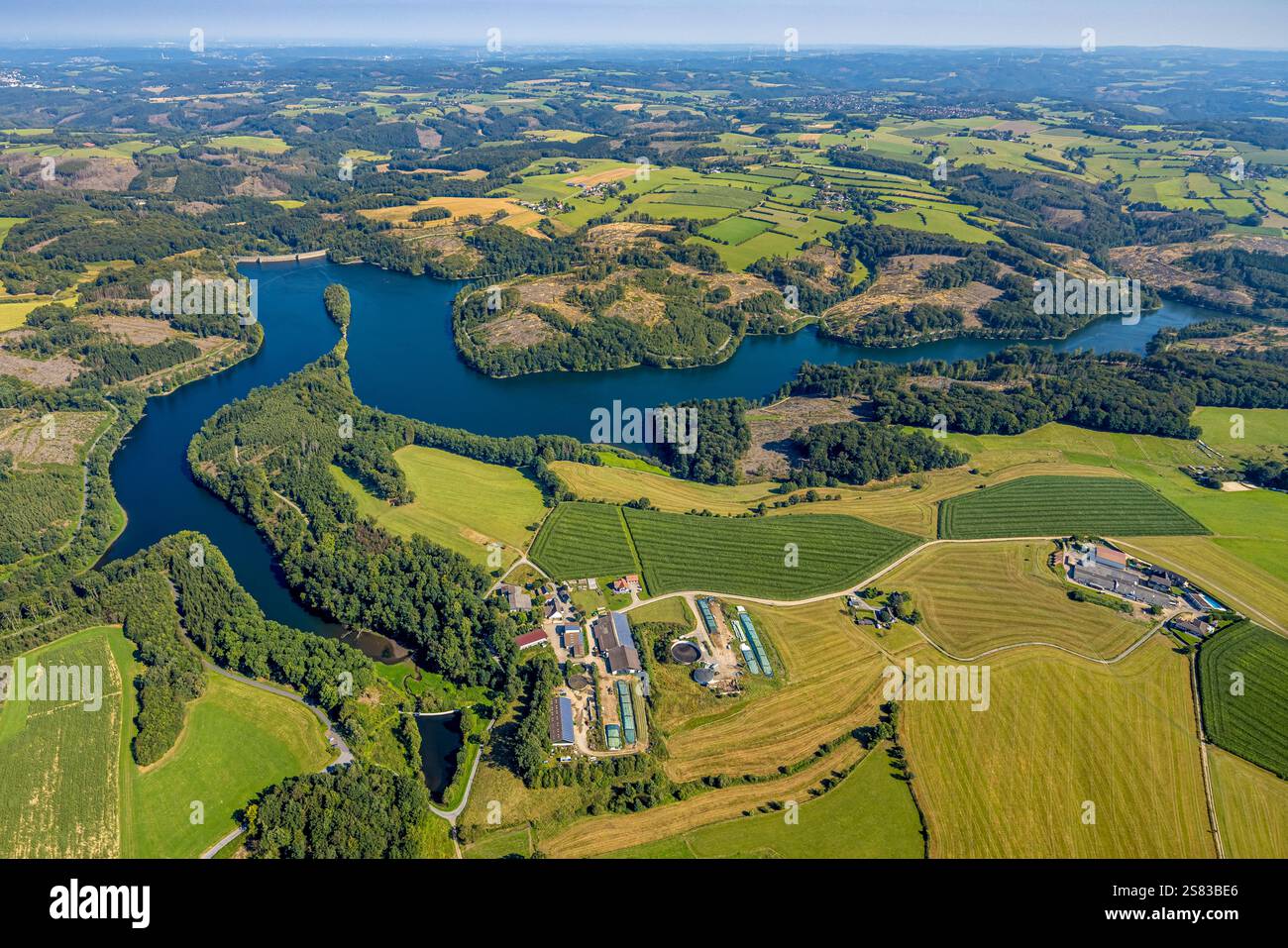 Vista aerea, Ennepetalsperre con pareti dighe e isola boscosa, paesaggio collinare con danni forestali, fattoria Ottofülling, Böckel, confini della città di Ennepetal, Boß Foto Stock