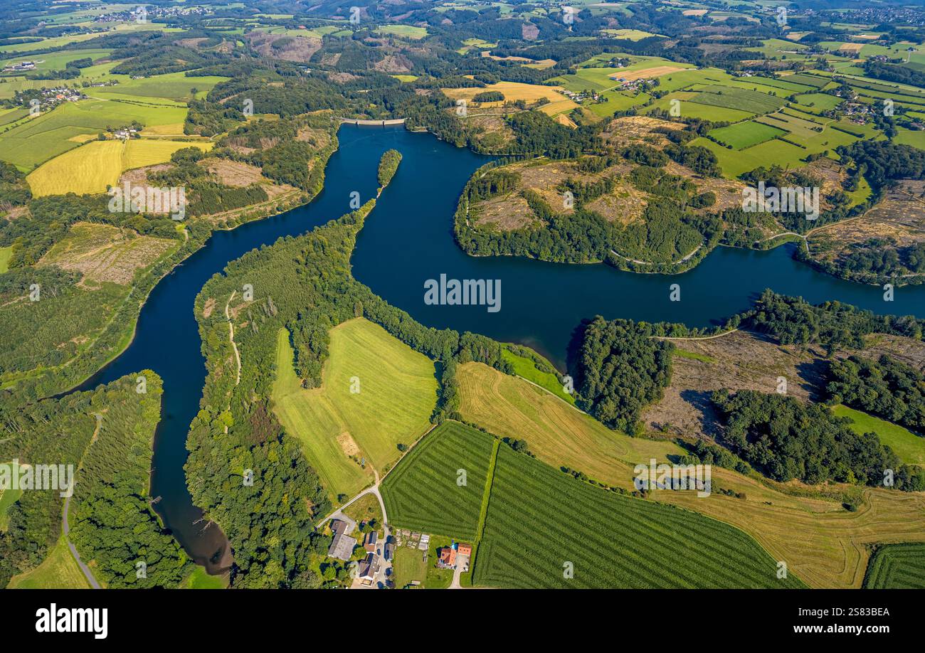 Vista aerea, Ennepetalsperre con pareti dighe e isola boscosa, paesaggio collinare con danni forestali, confine della città di Ennepetal, Boßel, Breckerfeld, Ruhr ar Foto Stock