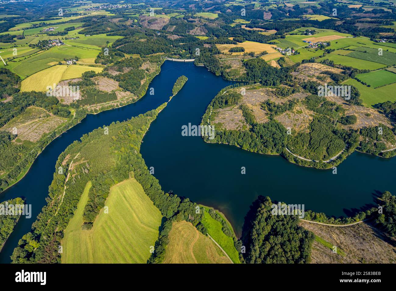 Vista aerea, Ennepetalsperre con pareti dighe e isola boscosa, paesaggio collinare con danni forestali, confine della città di Ennepetal, Boßel, Breckerfeld, Ruhr ar Foto Stock