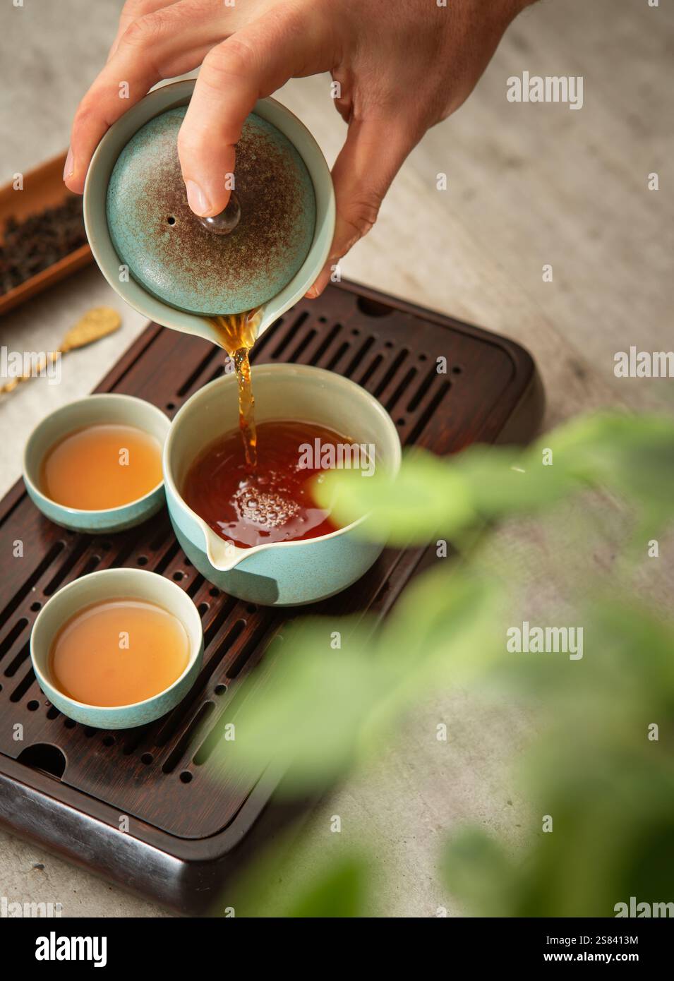 Le mani femminili versano il tè dal tè Gaiwan in ceramica nelle tazze, creando un sereno rituale del tè. Luce soffusa, vassoio da tè in legno e vegetazione evocano relax Foto Stock
