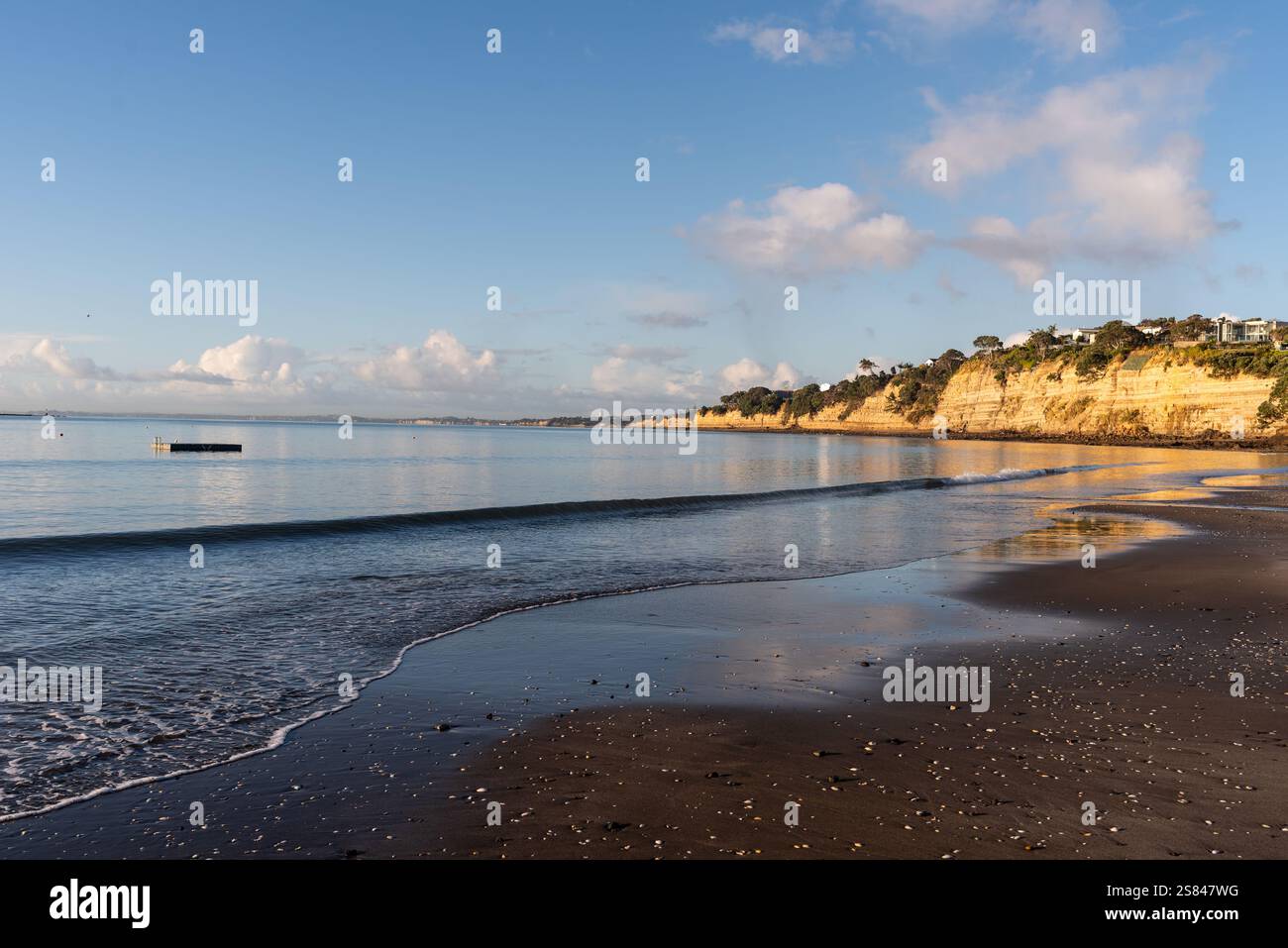 Costa nord di Auckland, Nuova Zelanda. Torbay con la marea bassa Foto Stock