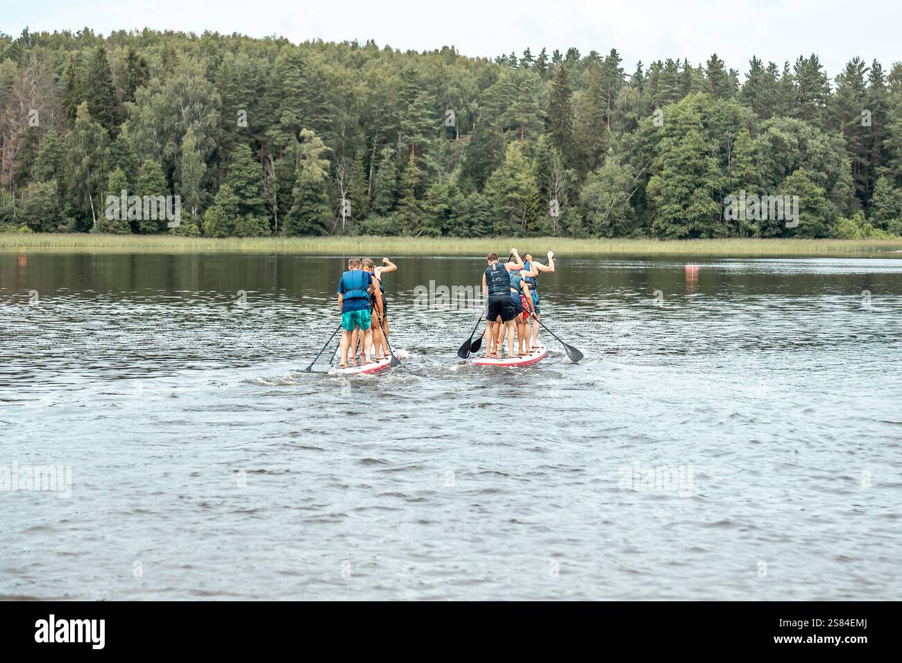 Un gruppo di persone che praticano il paddleboard su un lago calmo con boe rosse, sullo sfondo di alti alberi verdi in una fitta foresta. Foto Stock
