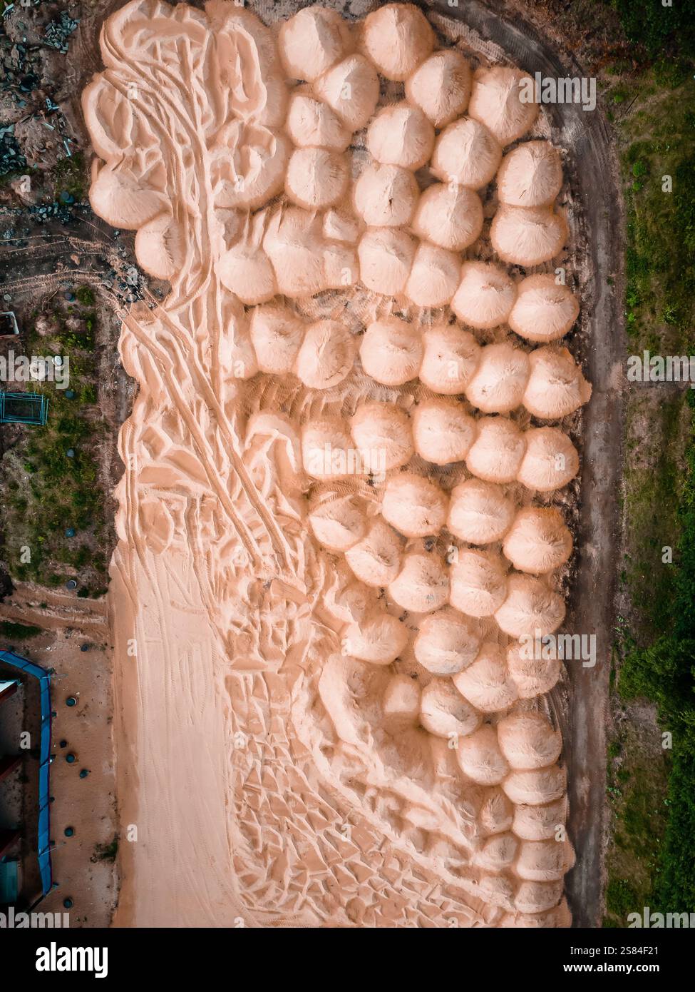 Una prospettiva aerea di una dettagliata scultura di sabbia a forma di uva, caratterizzata da motivi di vite e foglie, situata in un'area aperta con erba e detriti. Foto Stock