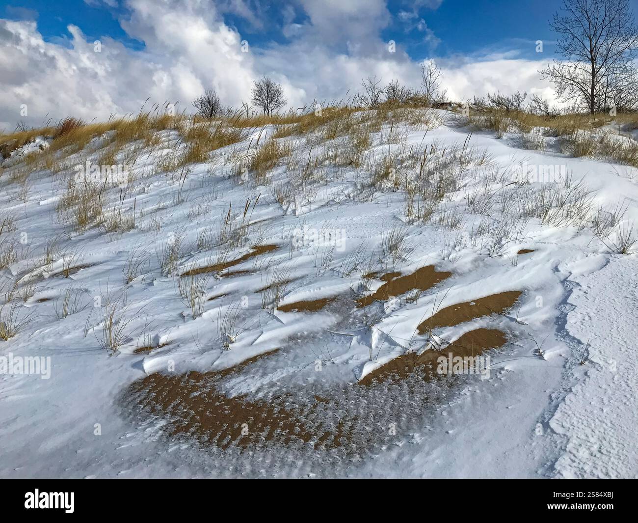 Una neve leggera combinata con i venti incesanti del lago Michigan crea fantasie di neve e sabbia, la riva del lago Michigan e lo stato delle dune di Warne Foto Stock