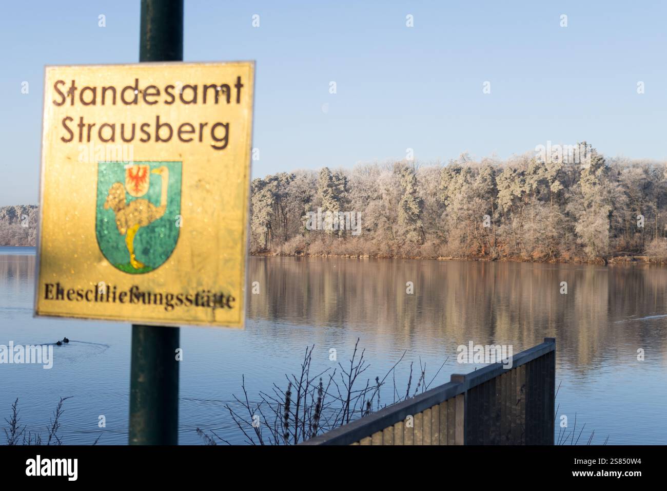Un cartello per lo Standesamt Strausberg (Ufficio del Registro) a Straussee, che indica un luogo panoramico per matrimoni con alberi ricoperti di gelo. Foto Stock