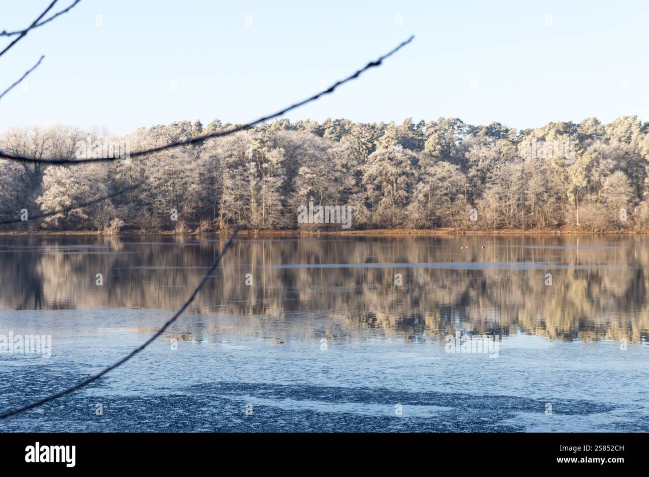 Un panorama invernale mozzafiato a Straussee, dove alberi ricoperti di gelo si riflettono sul lago ghiacciato sotto un cielo azzurro. Foto Stock