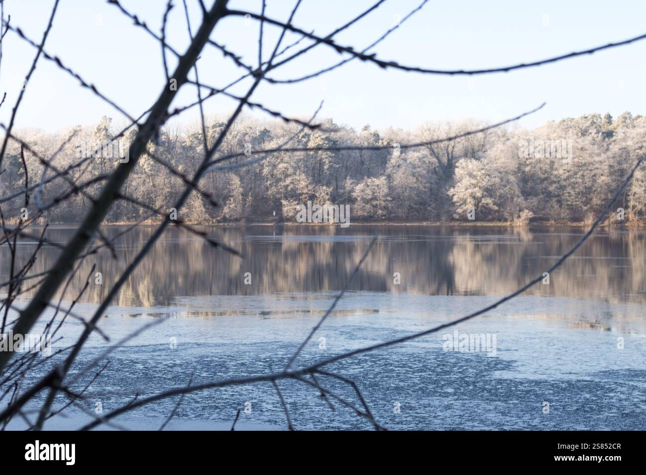 Una splendida vista invernale di Straussee, con alberi ricoperti di gelo che si riflettono sull'acqua parzialmente ghiacciata, incorniciati da delicati rami. Foto Stock