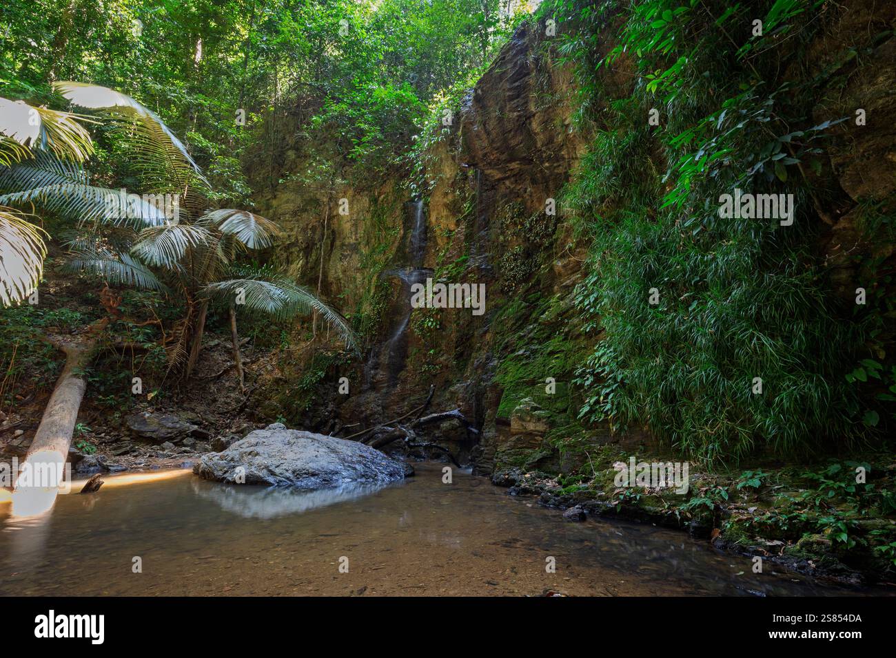 Cascata Khlong Chak e piccolo stagno durante la stagione secca a Koh Lanta, Thailandia, in una giornata di sole. Paesaggio tropicale con vegetazione lussureggiante. Foto Stock