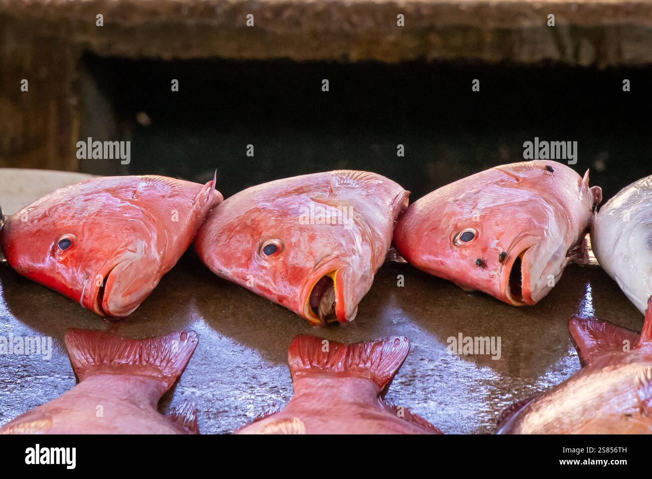 Fishmarket a Victoria, Mahé, Seychelles Foto Stock