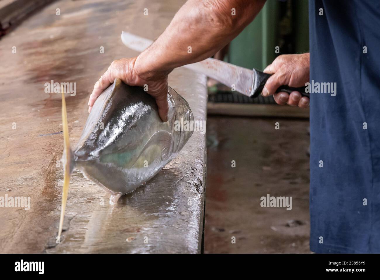 Venditore che taglia il pesce al mercato di Victoria, Mahé, Seychelles Foto Stock