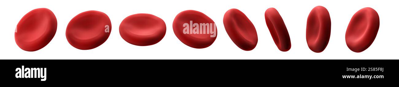 Eritrociti isolati su sfondo bianco. Set (Imposta). Angolazioni diverse. illustrazione 3d. Foto Stock