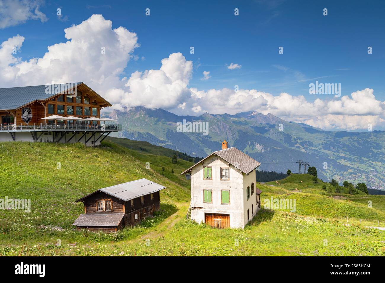 Kleine Scheidigg, regione Jungfrau, Oberland Bernese, Svizzera Foto Stock