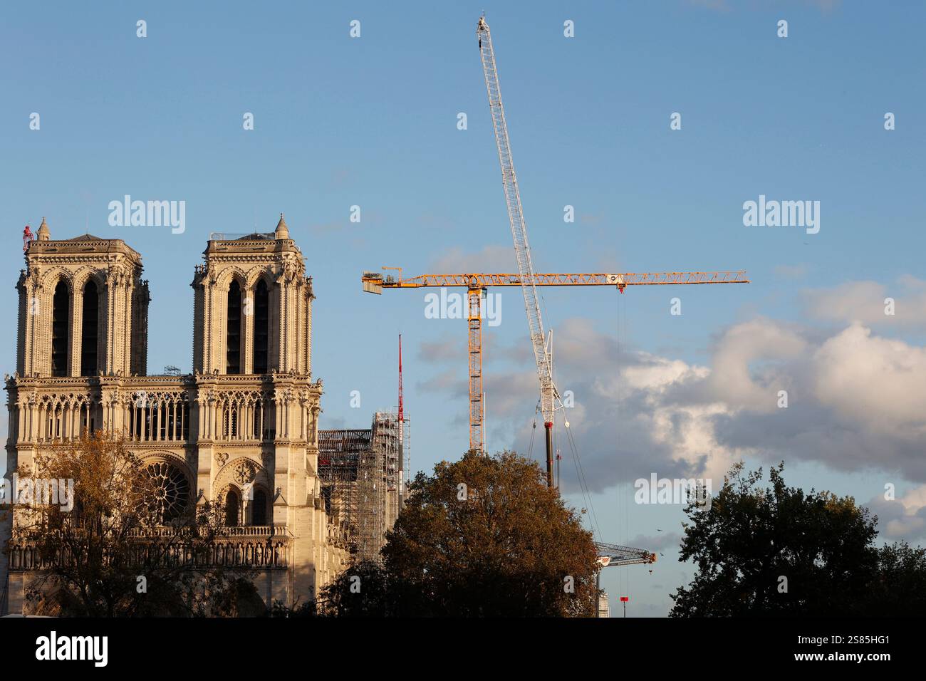 Restauro della Cattedrale di Notre Dame, Parigi, Francia Foto Stock