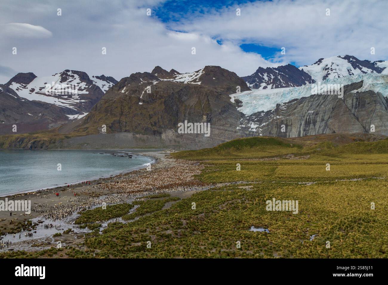 Vista di Gold Harbor sull'Isola della Georgia del Sud, sull'Oceano meridionale Foto Stock