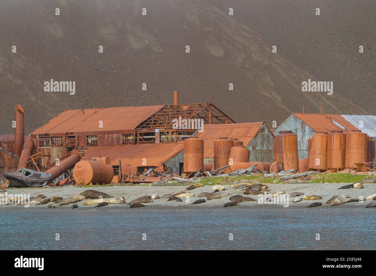 Vista della stazione baleniera abbandonata al porto di Stromness sull'Isola della Georgia del Sud, nell'Oceano meridionale Foto Stock