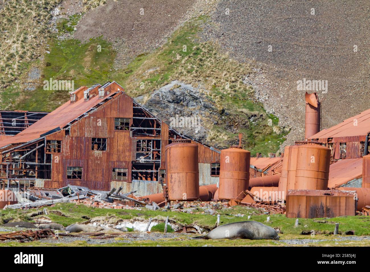 Vista della stazione baleniera abbandonata al porto di Stromness sull'Isola della Georgia del Sud, nell'Oceano meridionale Foto Stock