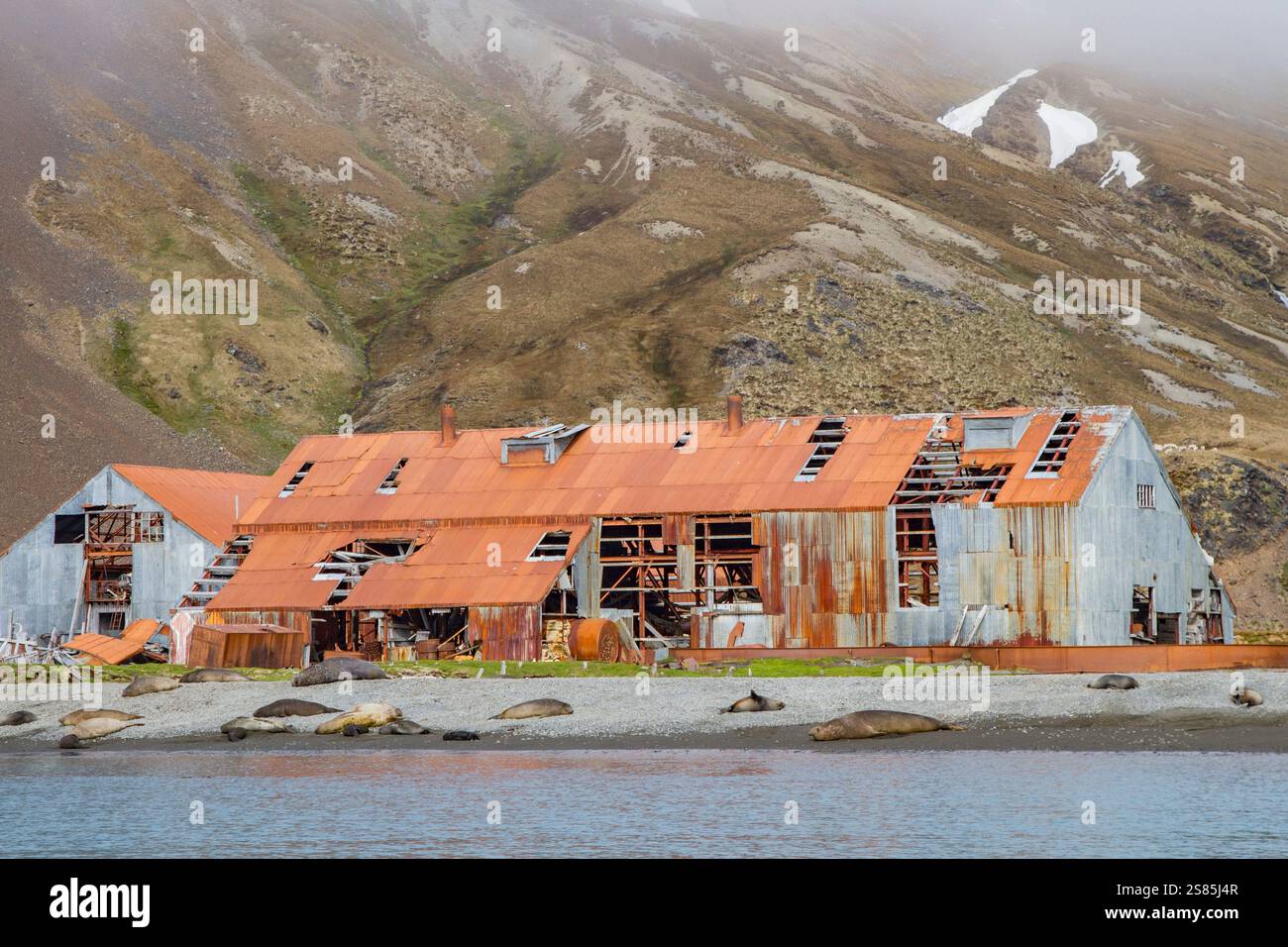 Vista della stazione baleniera abbandonata al porto di Stromness sull'Isola della Georgia del Sud, nell'Oceano meridionale Foto Stock