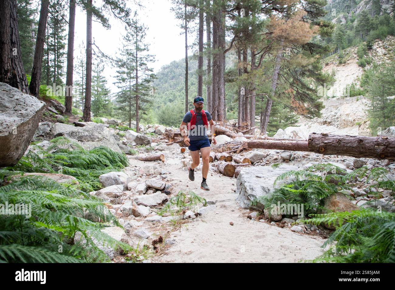 Trail runner su un sentiero di montagna, Francia Foto Stock