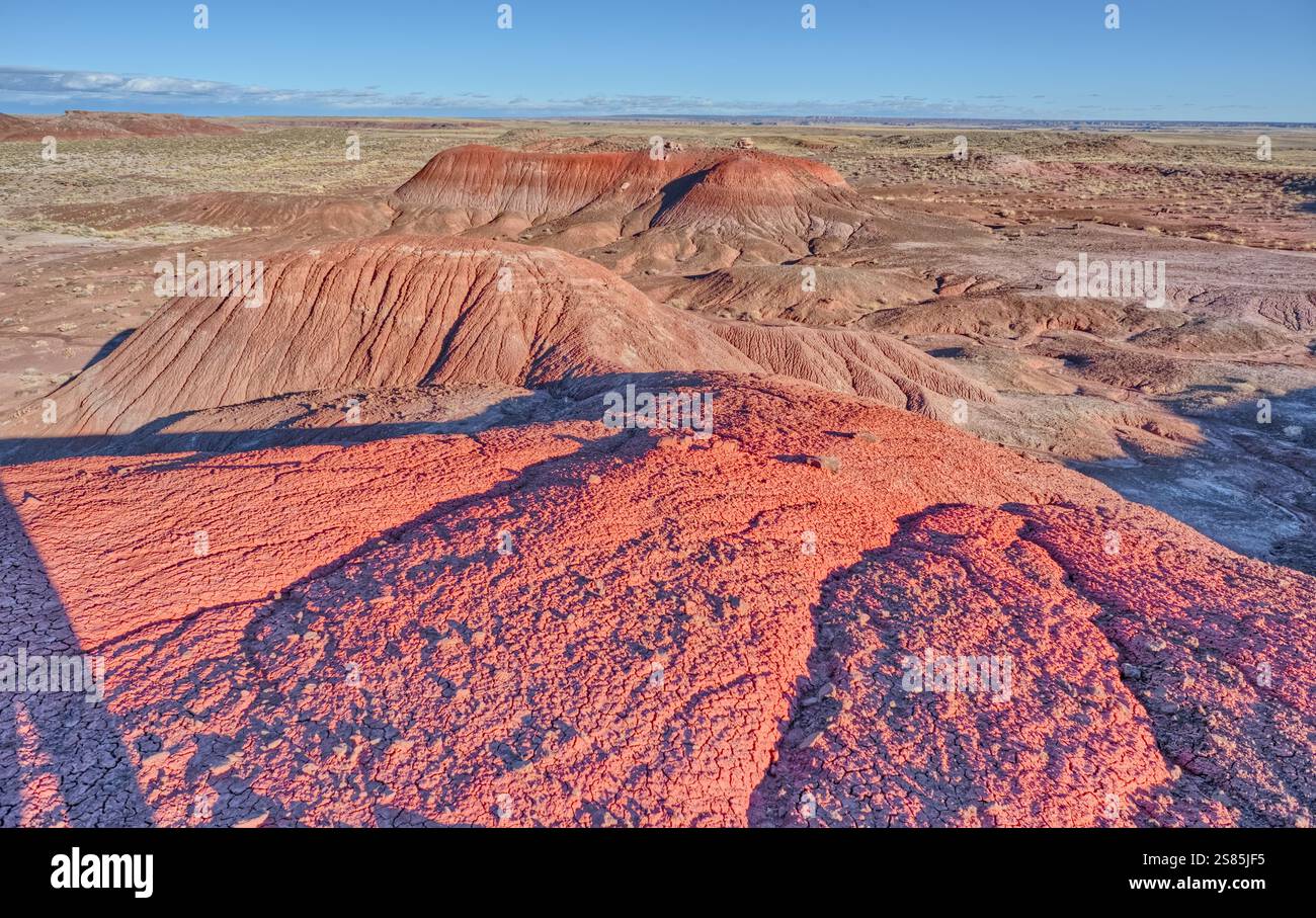 Colline rosse di argilla bentonite che si affacciano su Dead Wash nel Petrified Forest National Park, Arizona, Stati Uniti d'America Foto Stock