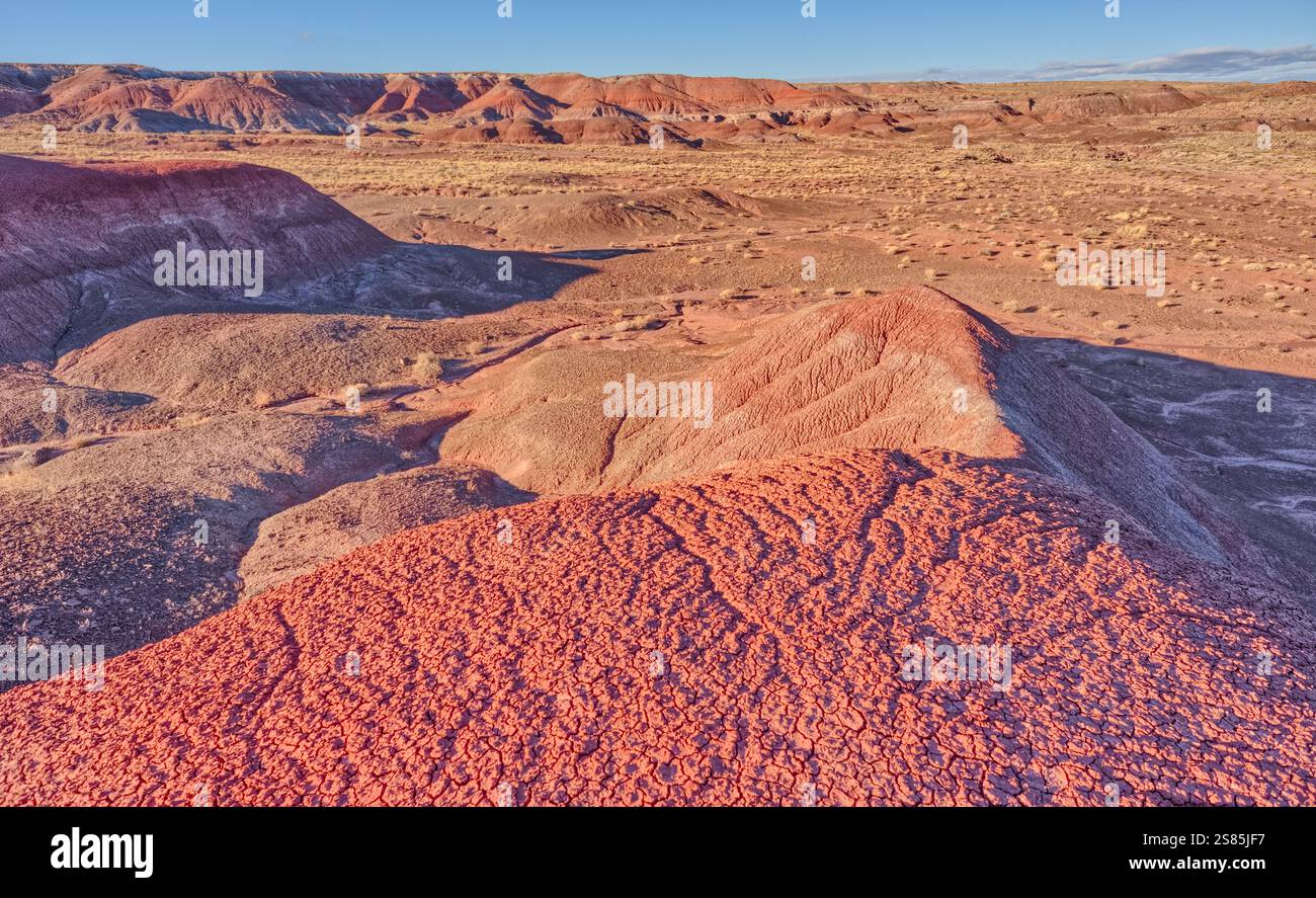 Colline rosse di argilla bentonite che si affacciano su Dead Wash nel Petrified Forest National Park, Arizona, Stati Uniti d'America Foto Stock