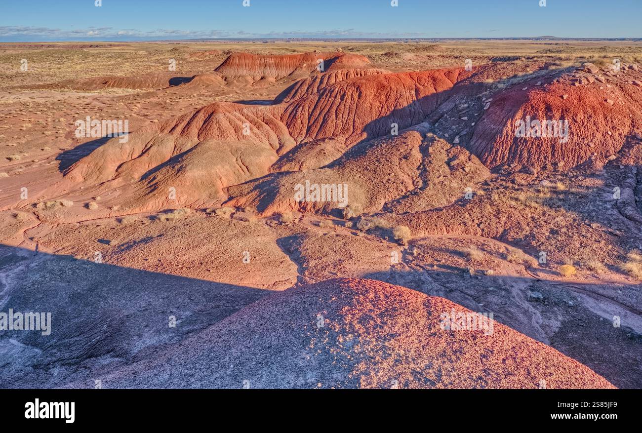 Colline rosse di argilla bentonite che si affacciano su Dead Wash nel Petrified Forest National Park, Arizona, Stati Uniti d'America Foto Stock