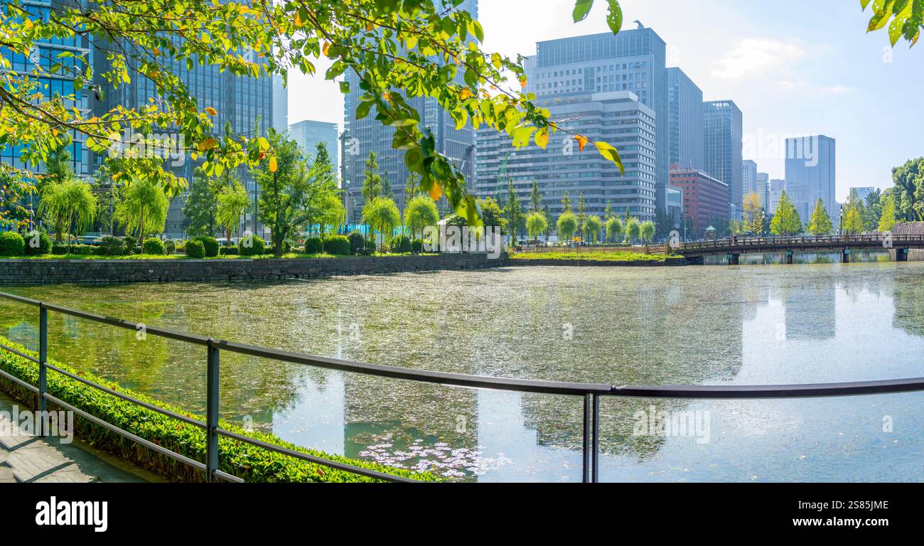 Vista dei riflessi a Wadakura Moat in una giornata di sole, Chiyoda, Tokyo, Honshu, Giappone Foto Stock