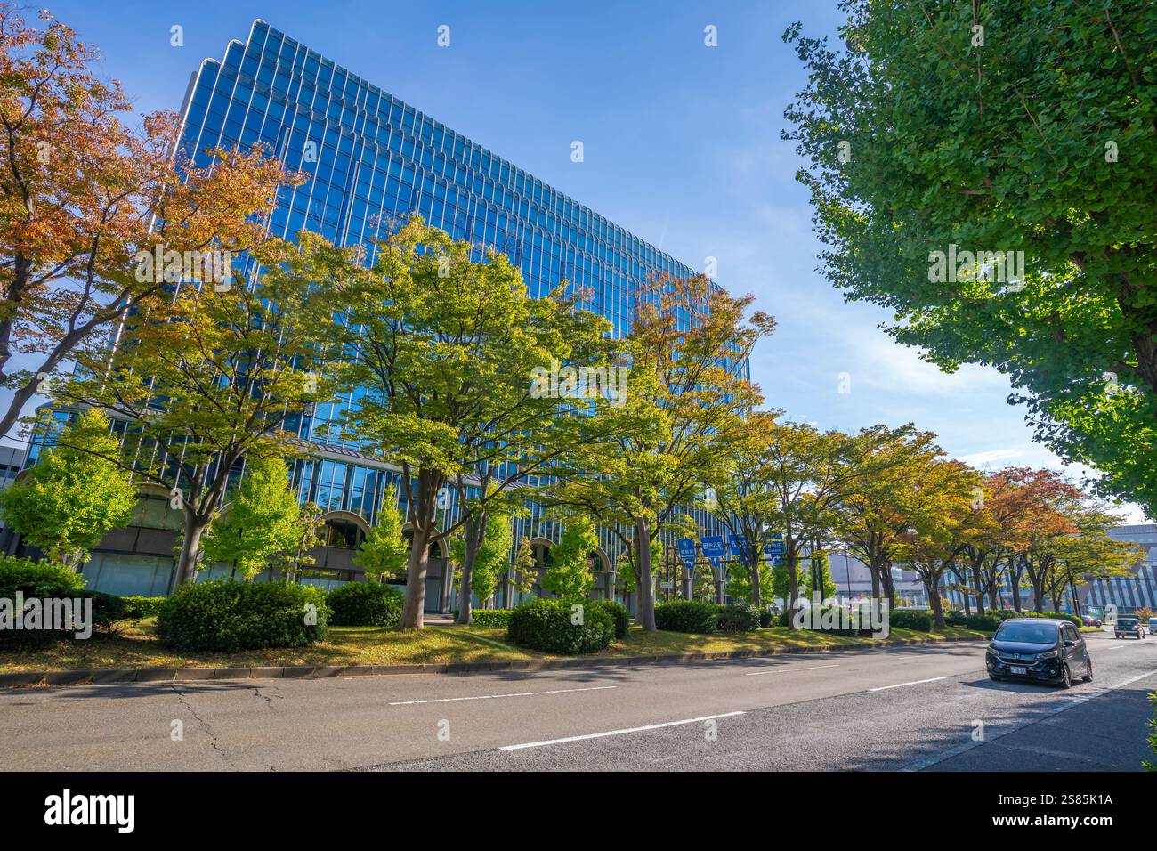 Veduta di alberi colorati che si alternano in autunno contro edifici moderni, la città di Kanazawa, la prefettura di Ishikawa, Honshu, Giappone Foto Stock
