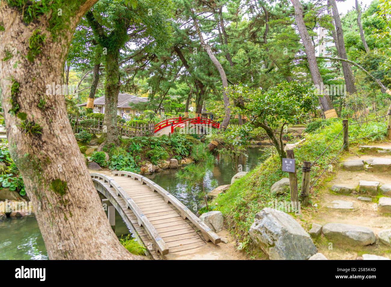 Vista del ponte pedonale rosso sullo stagno di Takueichi nel giardino di Shukkeien, Kaminoboricho, Naka Ward, Hiroshima, Honshu, Giappone Foto Stock