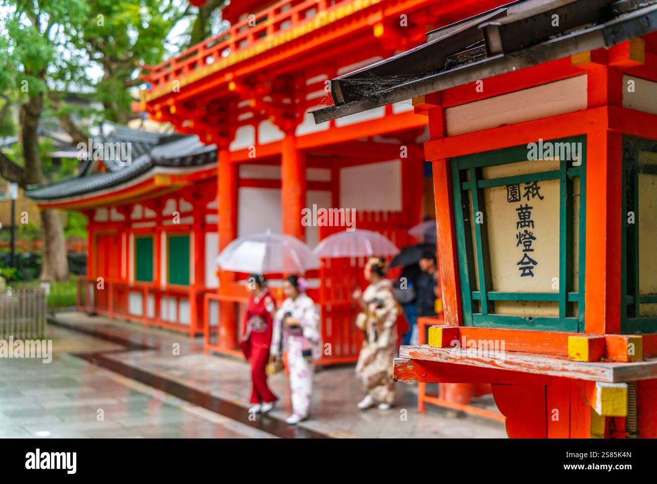 Vista di Geisha nella porta di Yasaka Jinja Nishiromon (porta della Torre Occidentale) Gionmachi Kitagawa, Higashiyama-ku, Kyoto, Honshu, Giappone Foto Stock