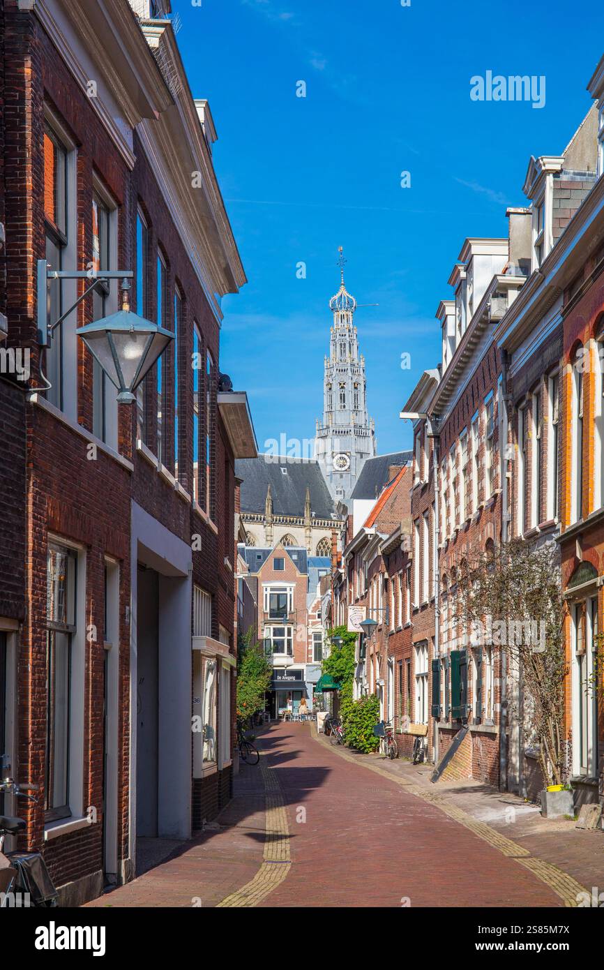 Frankestraat, Haarlem, Olanda settentrionale, Paesi Bassi, Europa Foto Stock