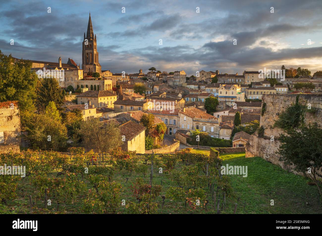 Vista sulla città vecchia e sul campanile della chiesa monolitica, Saint Emilion, dipartimento della Gironda, Nouvelle Aquitaine, Francia, Europa Foto Stock