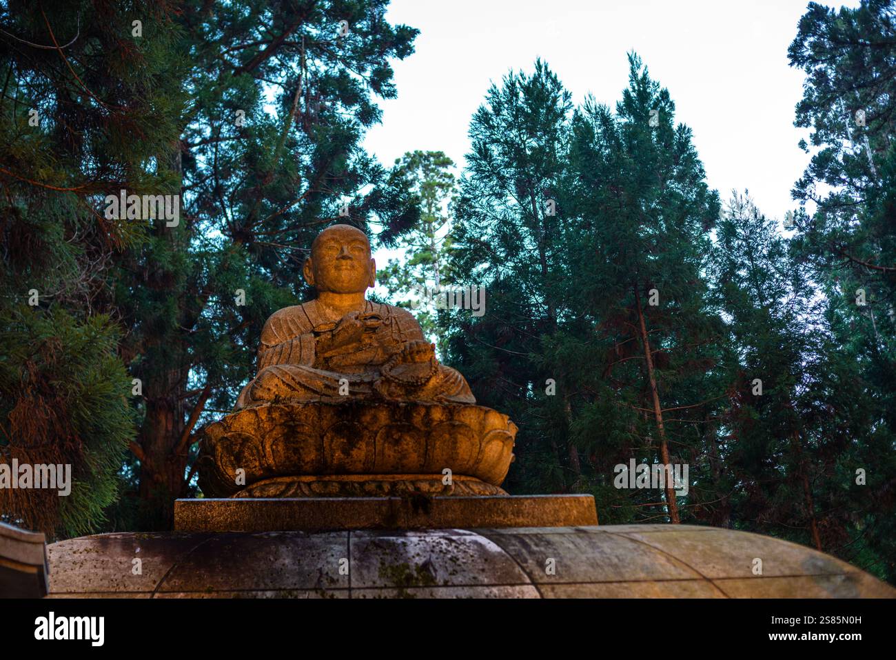 Statua di Buddha seduto nella foresta profonda di Koyasan al crepuscolo, cimitero buddista di Oku-no-in, Koyasan (Koya-san), Kansai, Honshu, Giappone Foto Stock