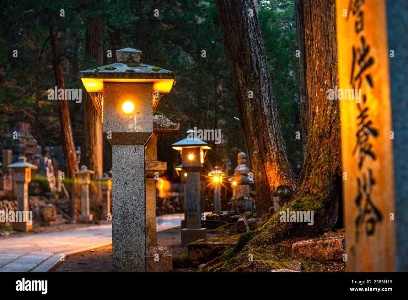 Calda luce notturna di lanterne di pietra al cimitero buddista di Oku-no-in, Koyasan (Koya-san), Kansai, Honshu, Giappone Foto Stock