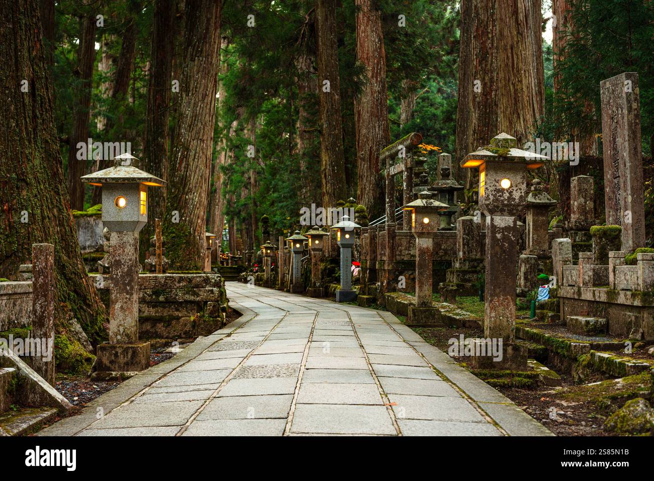 Vicolo di lanterne di pietra nella foresta, cimitero buddista di Oku-no-in, Koyasan (Koya-san), Kansai, Honshu, Giappone Foto Stock