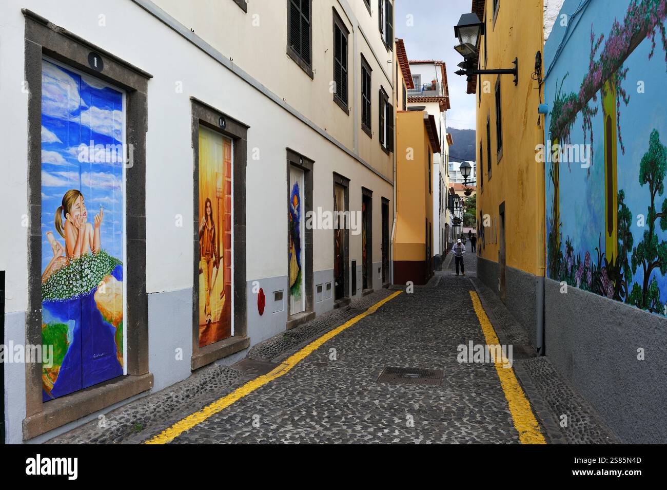 Porte dipinte di via Santa Maria nella città vecchia, Funchal, isola di Madeira, Oceano Atlantico, Portogallo Foto Stock