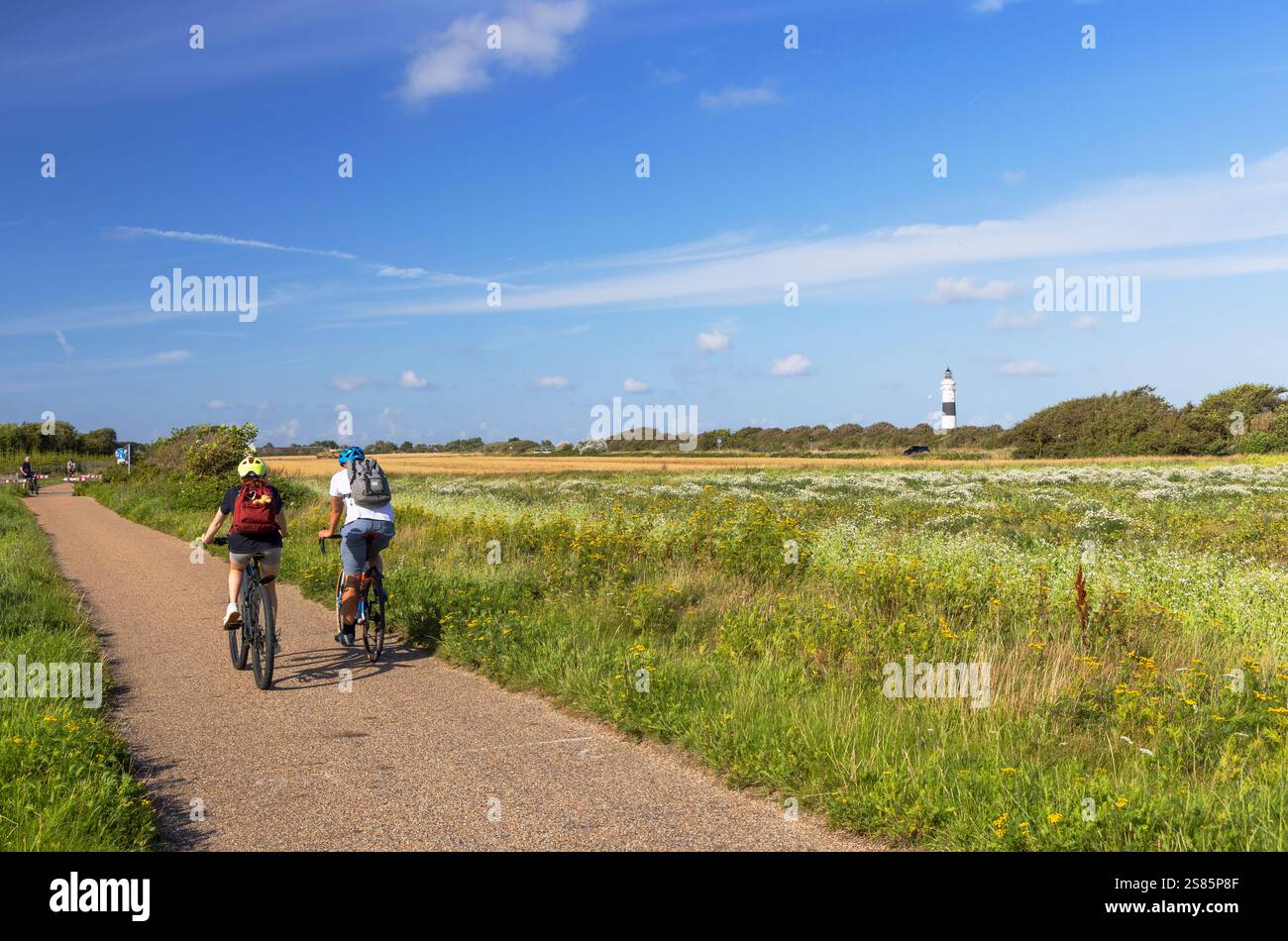 Ciclisti su pista ciclabile, Wenningstedt, Sylt, Schleswig Holstein, Germania, Europa Foto Stock