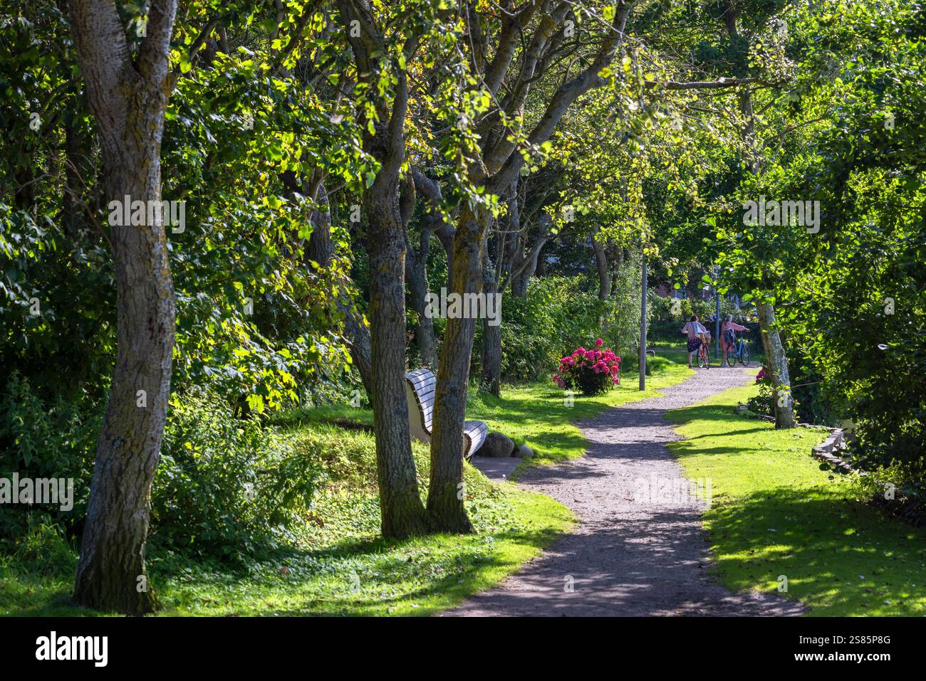 Donne con biciclette nel parco, Wenningstedt, Sylt, Schleswig Holstein, Germania, Europa Foto Stock