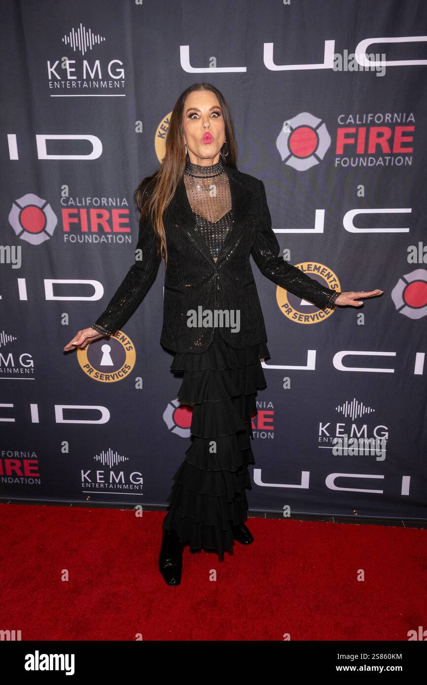 Los Angeles, Stati Uniti. 19 gennaio 2025. La musicista/modella Janice Dickinson partecipa al Pre-Grammy Kickoff e alla raccolta fondi per la California Fire Foundation alla Lucid Motors di Los Angeles. (Foto di Eugene Powers/SOPA Images/Sipa USA) credito: SIPA USA/Alamy Live News Foto Stock Los Angeles, Stati Uniti. 19 gennaio 2025. La musicista/modella Janice Dickinson partecipa al Pre-Grammy Kickoff e alla raccolta fondi per la California Fire Foundation alla Lucid Motors di Los Angeles. (Foto di Eugene Powers/SOPA Images/Sipa USA) credito: SIPA USA/Alamy Live News Foto Stock