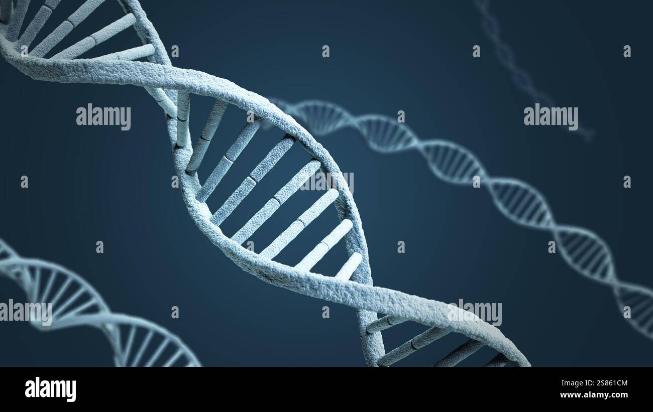 Acido nucleico. DNA. Doppia elica. Strand. illustrazione 3d. Foto Stock
