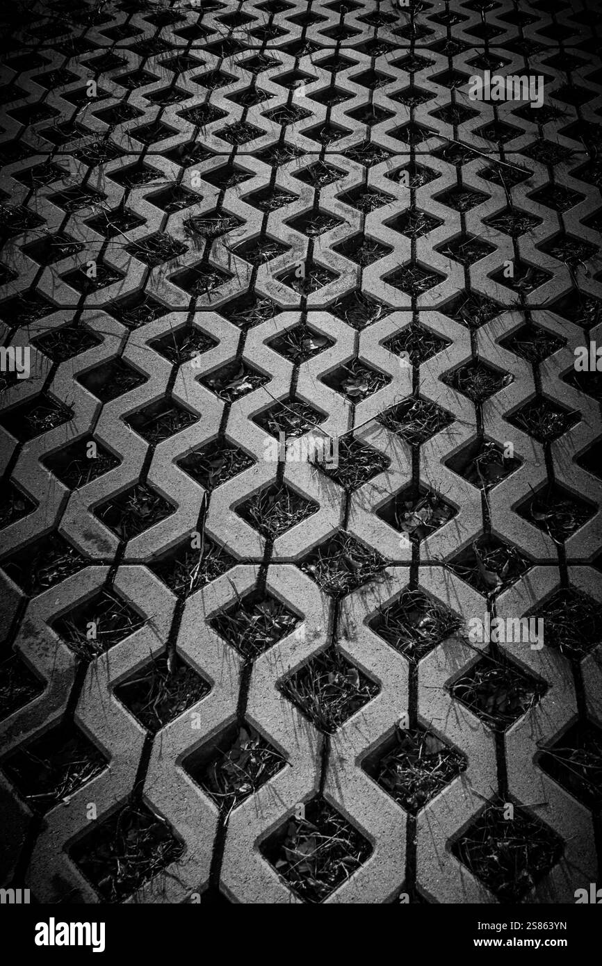 Pavimentazione strutturata con erba che cresce nelle fessure durante il giorno Foto Stock
