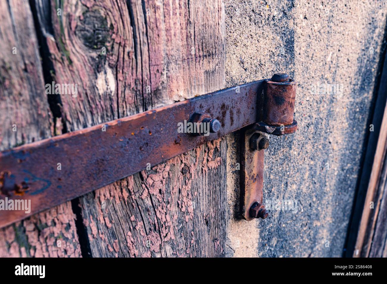 Porta in legno resistente agli agenti atmosferici con cerniere arrugginite in un ambiente rurale Foto Stock Porta in legno resistente agli agenti atmosferici con cerniere arrugginite in un ambiente rurale Foto Stock