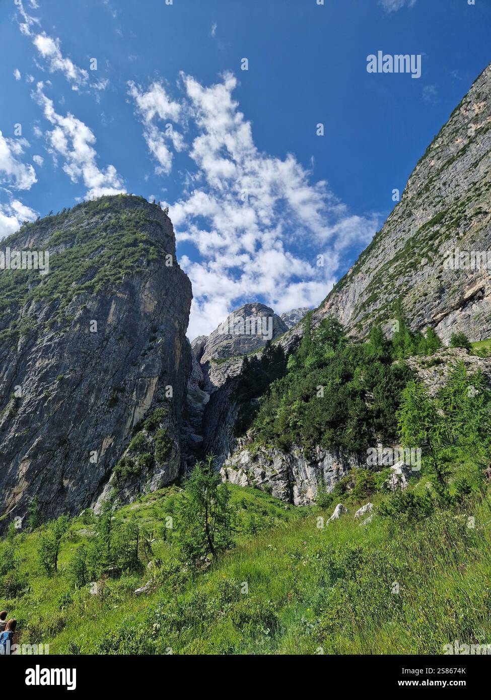 Suggestivo scenario montano, maestose scogliere torreggianti sotto un cielo blu vibrante, vegetazione lussureggiante riempie il primo piano, le Dolomiti, escursione al Lago di Sorapis Foto Stock