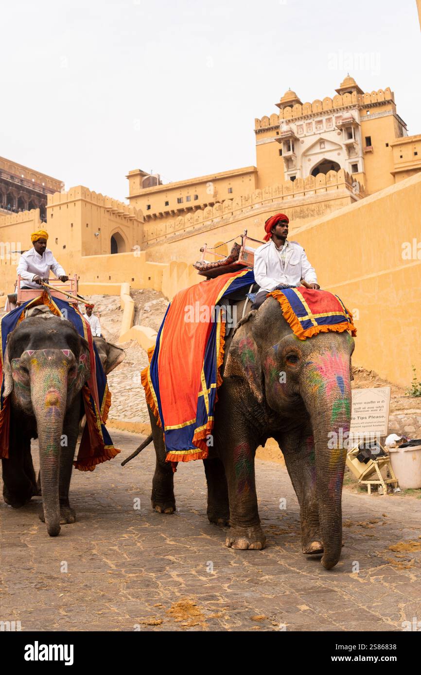 JAIPUR, INDIA - 24 MARZO 2024: Uomini indiani vestiti con abiti Rajasthani tradizionali a cavallo di elefanti all'interno del forte di Jaipur Foto Stock