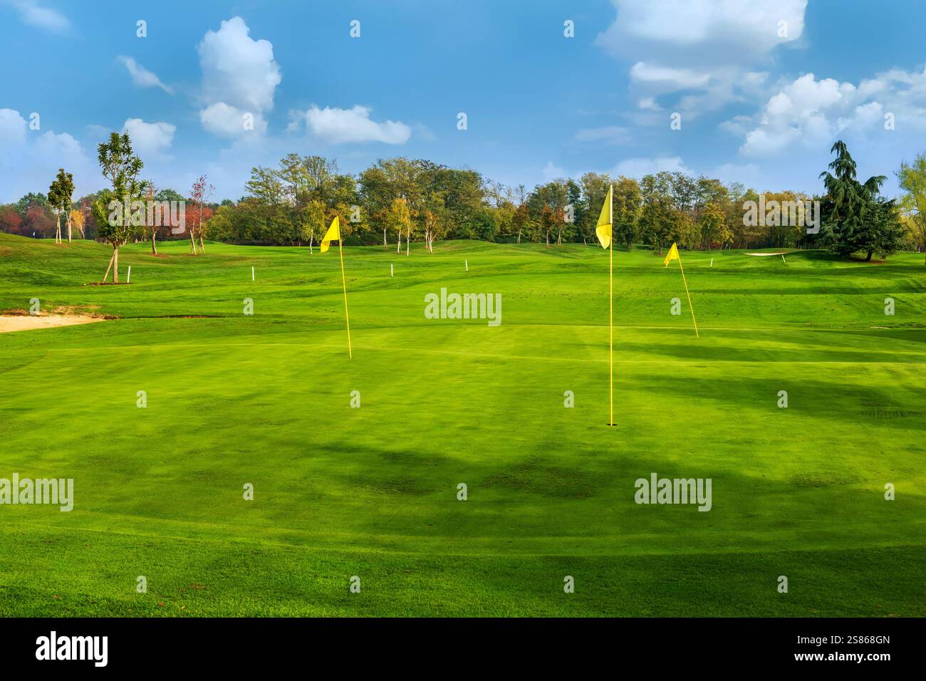 Campo da pratica di putting green con bandiere gialle in una bella giornata di sole, perfetto per gli appassionati di golf Foto Stock