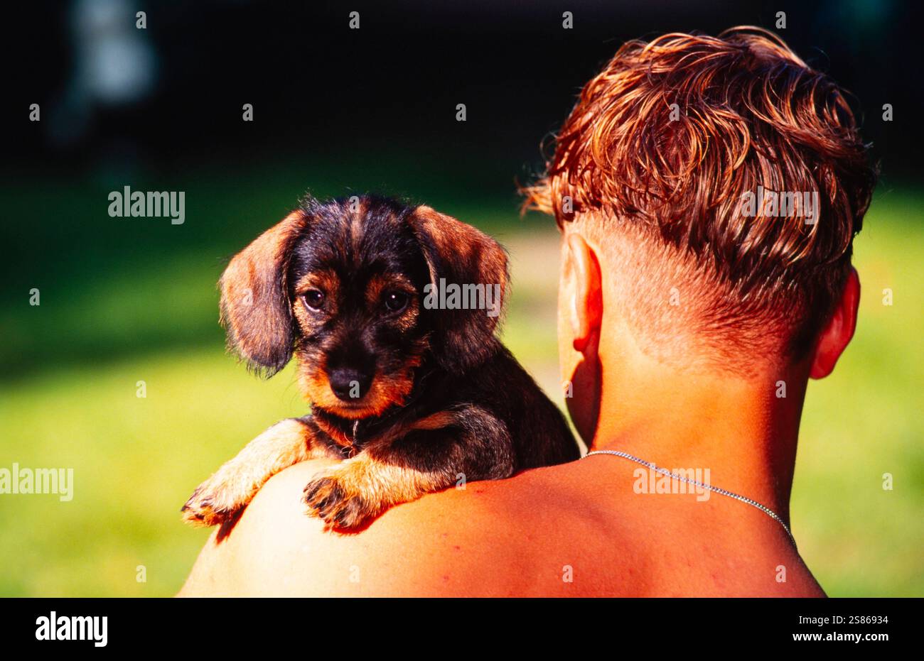Uomo con cucciolo Foto Stock